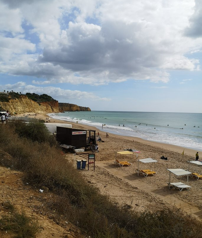 TSE The Surf Experience景点图片