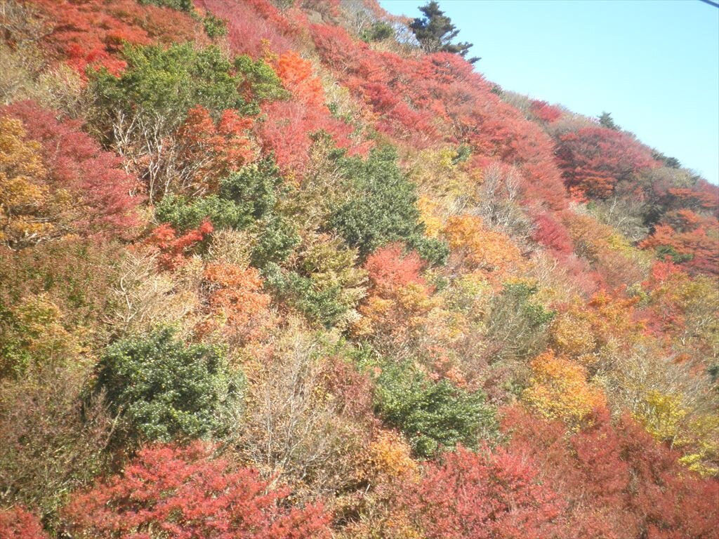 Unzen Ropeway-云仙市必去景点