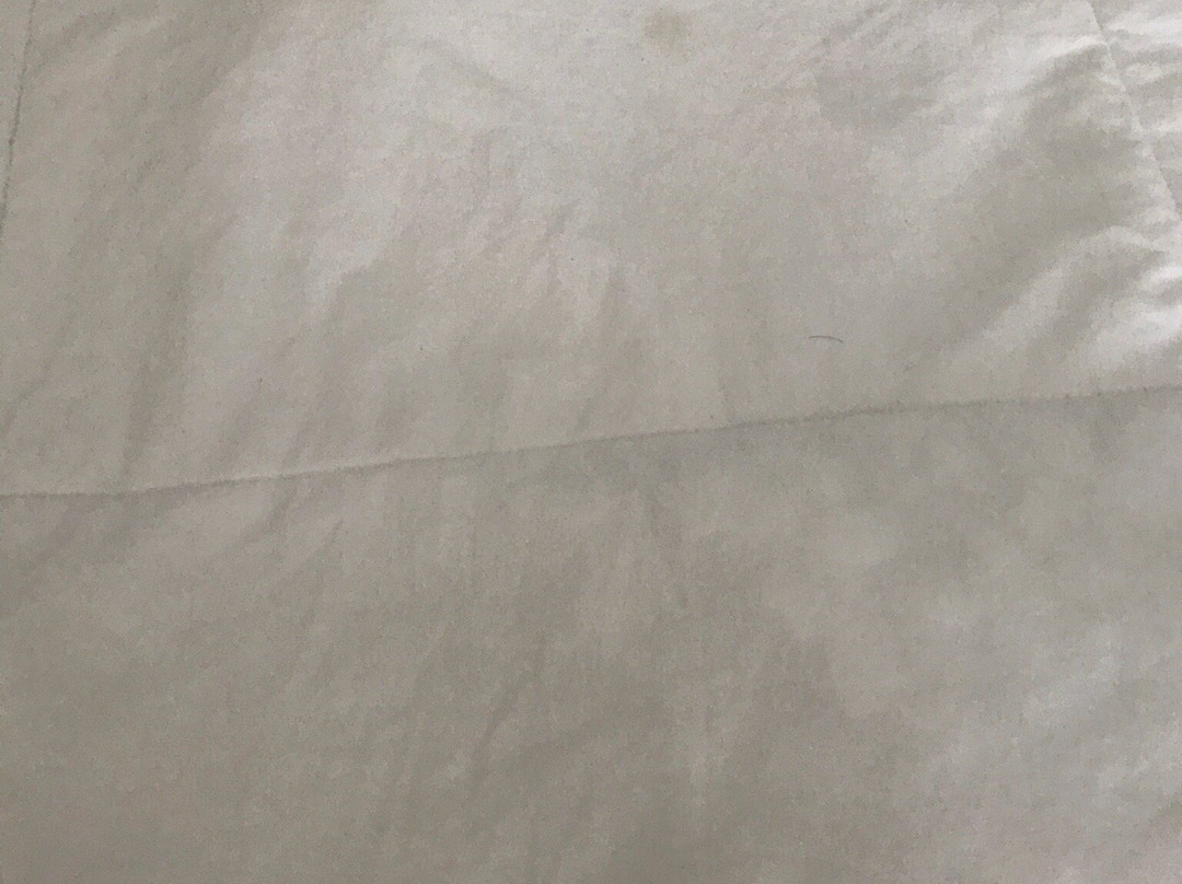 萨默维尔江山旅馆及套房主图