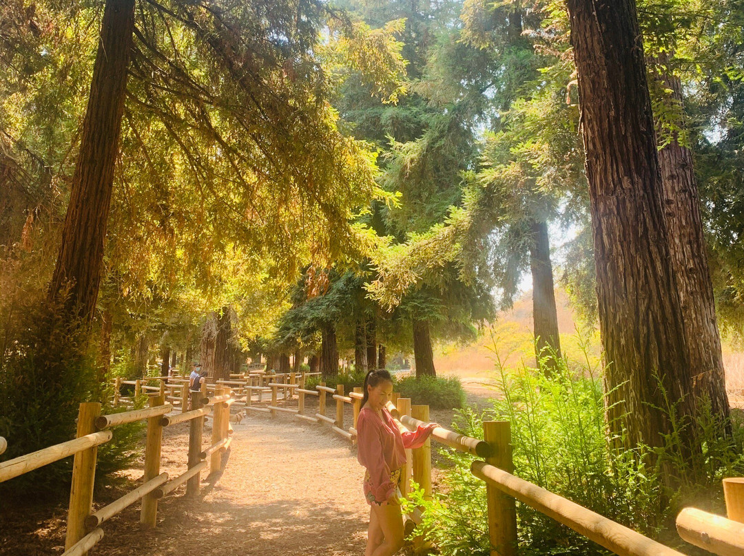 Carbon Canyon Nature Trail