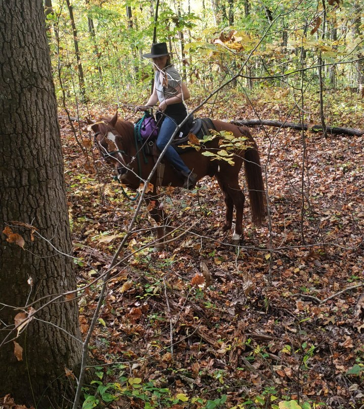 Chunky Gal Stables-Hayesville必去景点