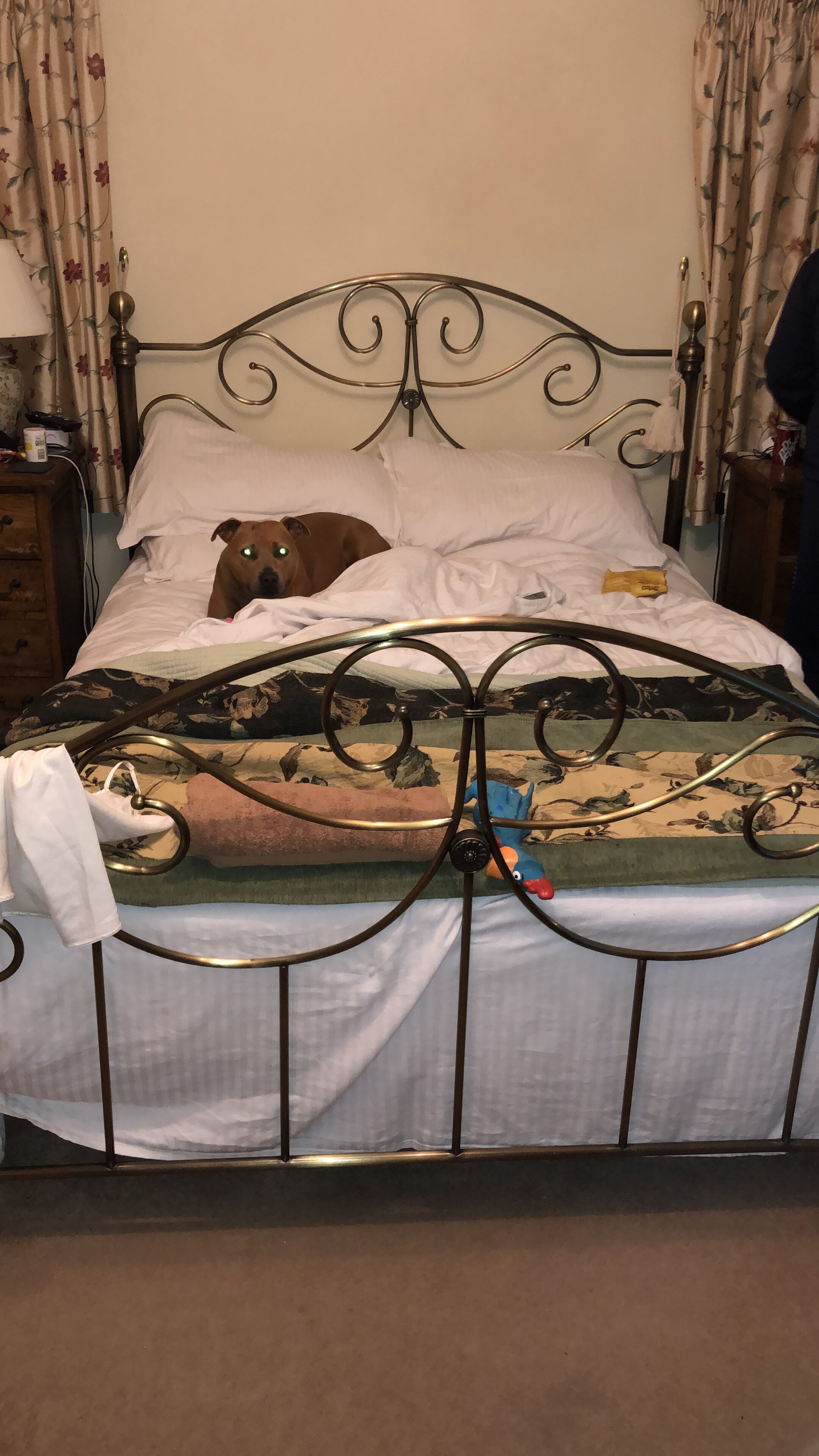 Lane House Bed & Breakfast-官方