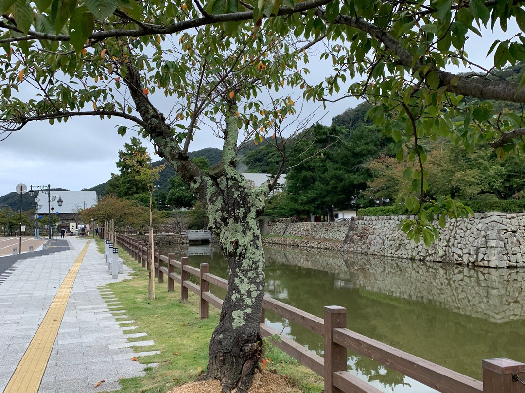 Tottori Castle Ruins-鸟取市必去景点