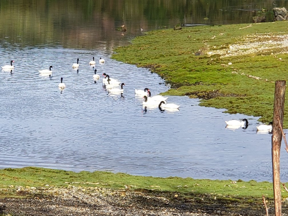 Bahía Eluney-Calbuco必去景点