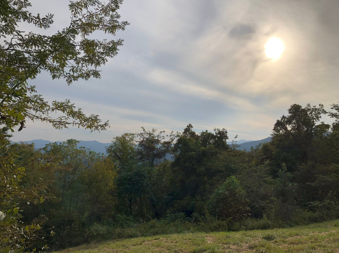 Wild Harmony Hiking Trail Park景点图片