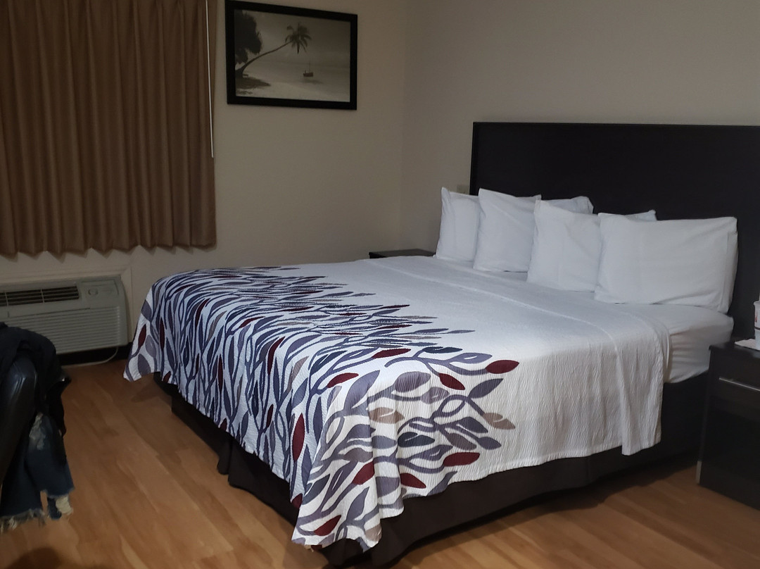 奥卡拉红顶客栈&套房酒店主图