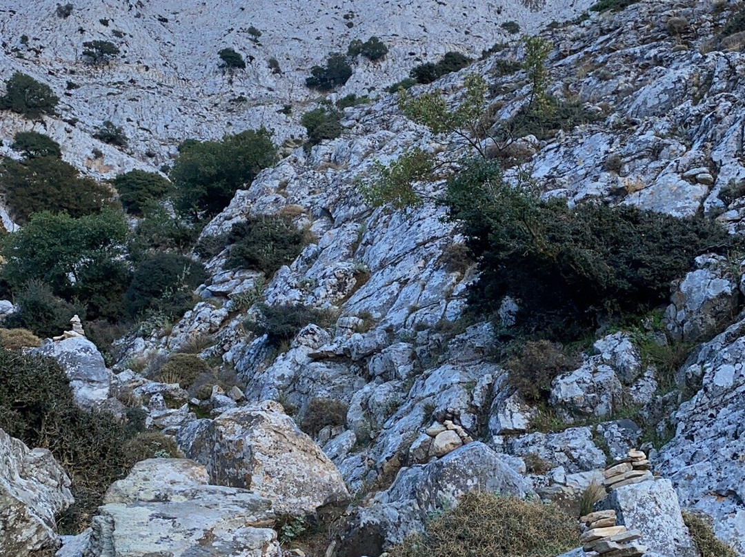 Zas Mountain景点图片
