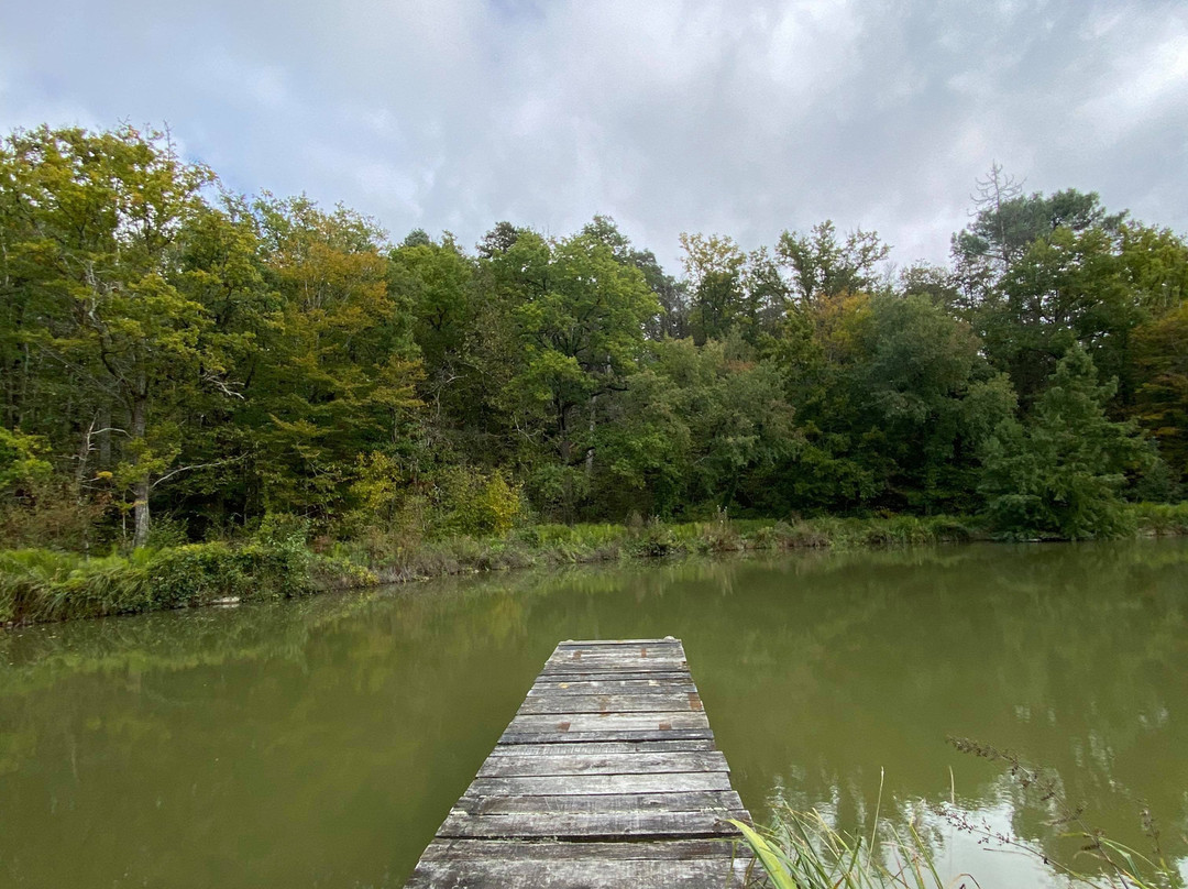 Le Grand Menasson主图