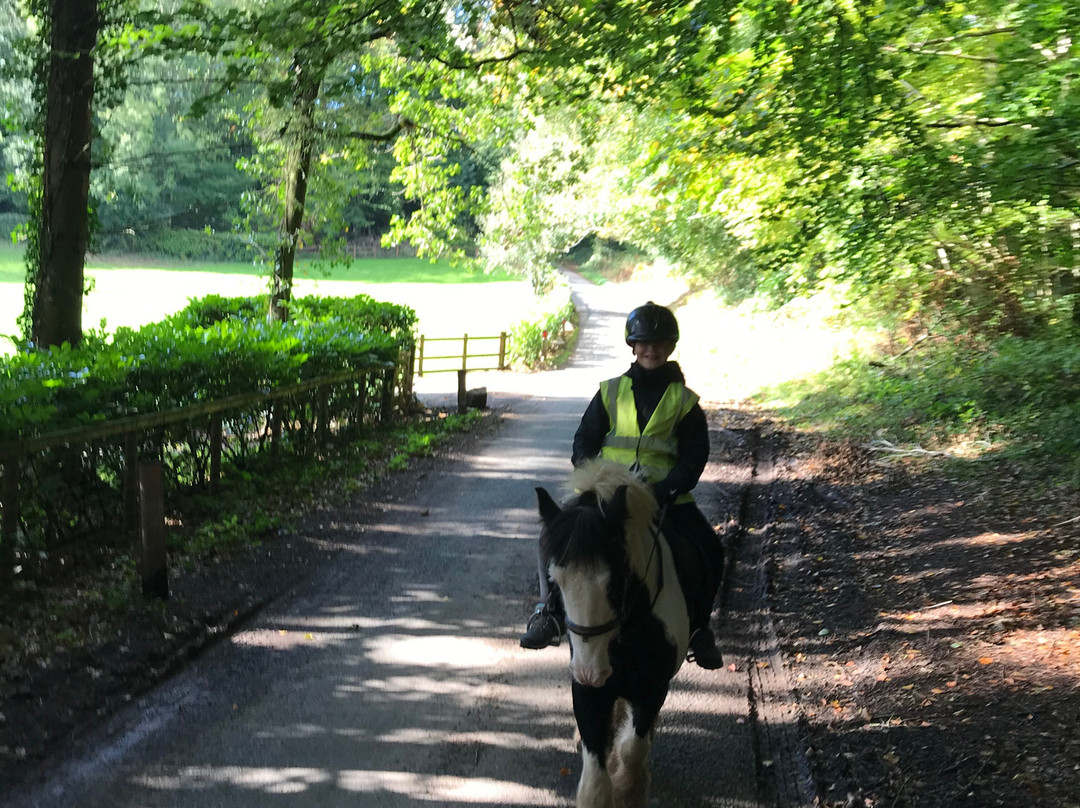 Severnwye Llama Trekking-Alvington必去景点