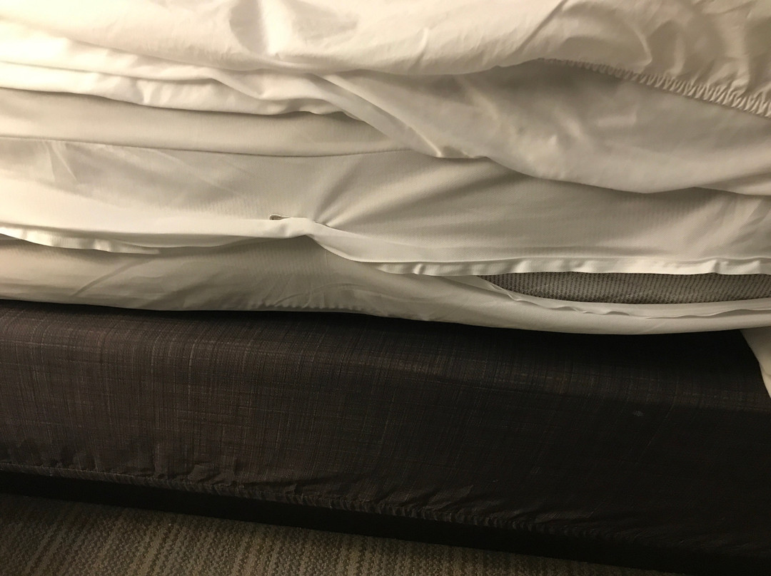 Country Inn & Suites by Radisson, Tuscaloosa, AL主图