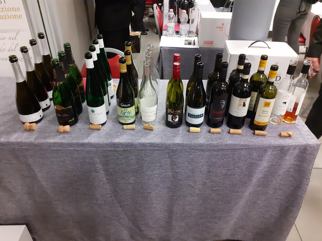 伯格纳大都会酒店主图