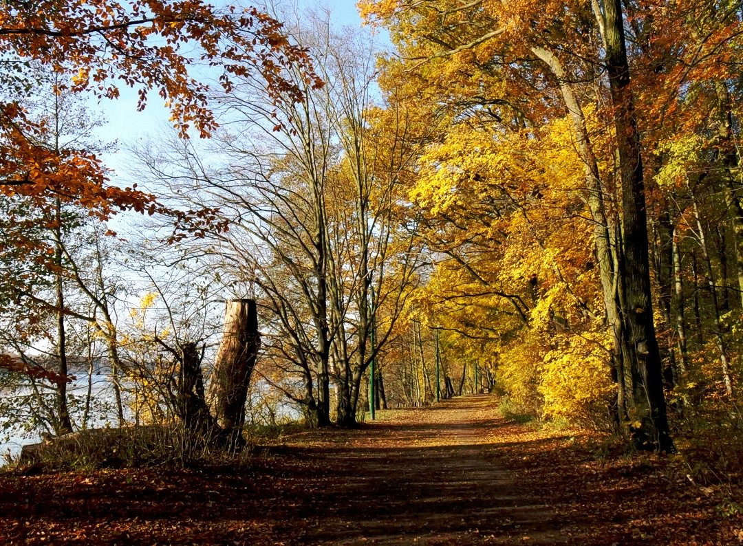 Jezioro Rusałka景点图片