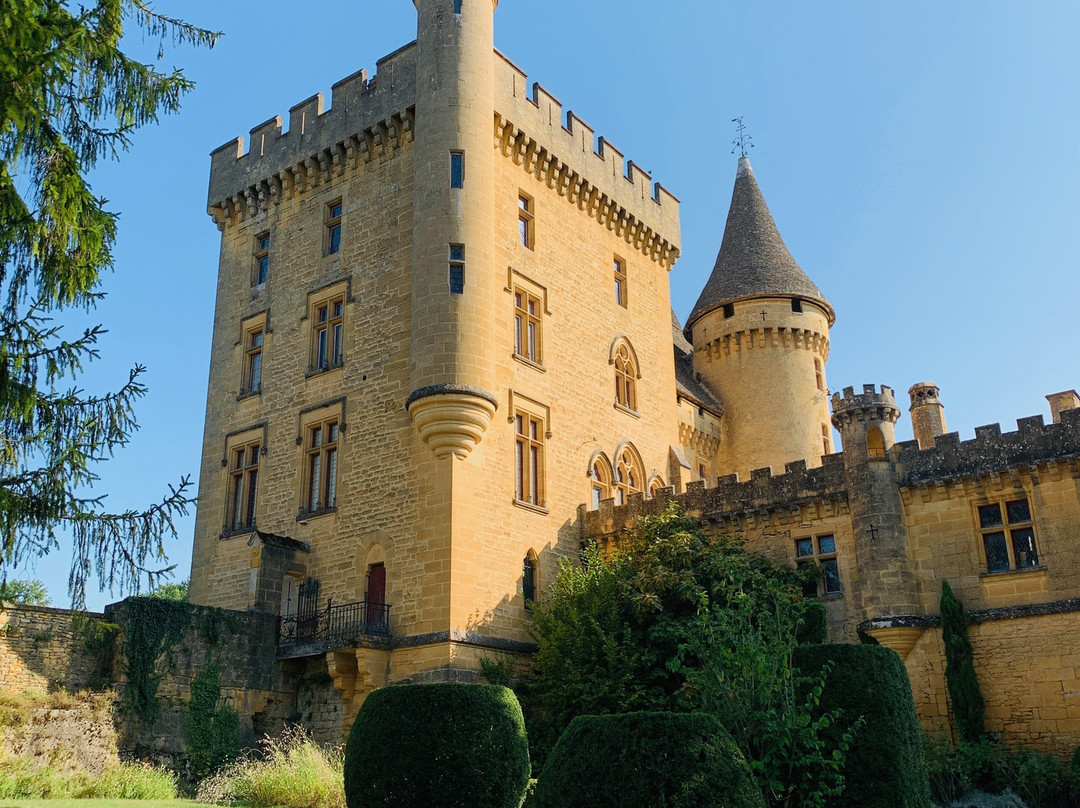 Chateau de Puymartin景点图片