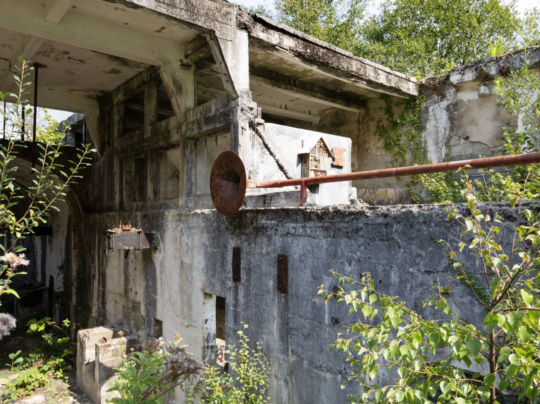 Vallée Des Papeteries