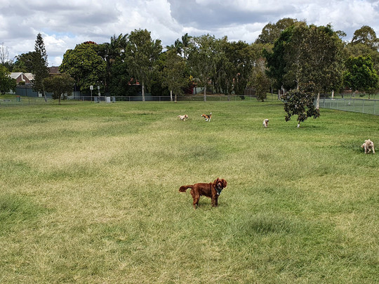 Frascott Small Dog Fenced Agility Dog Park