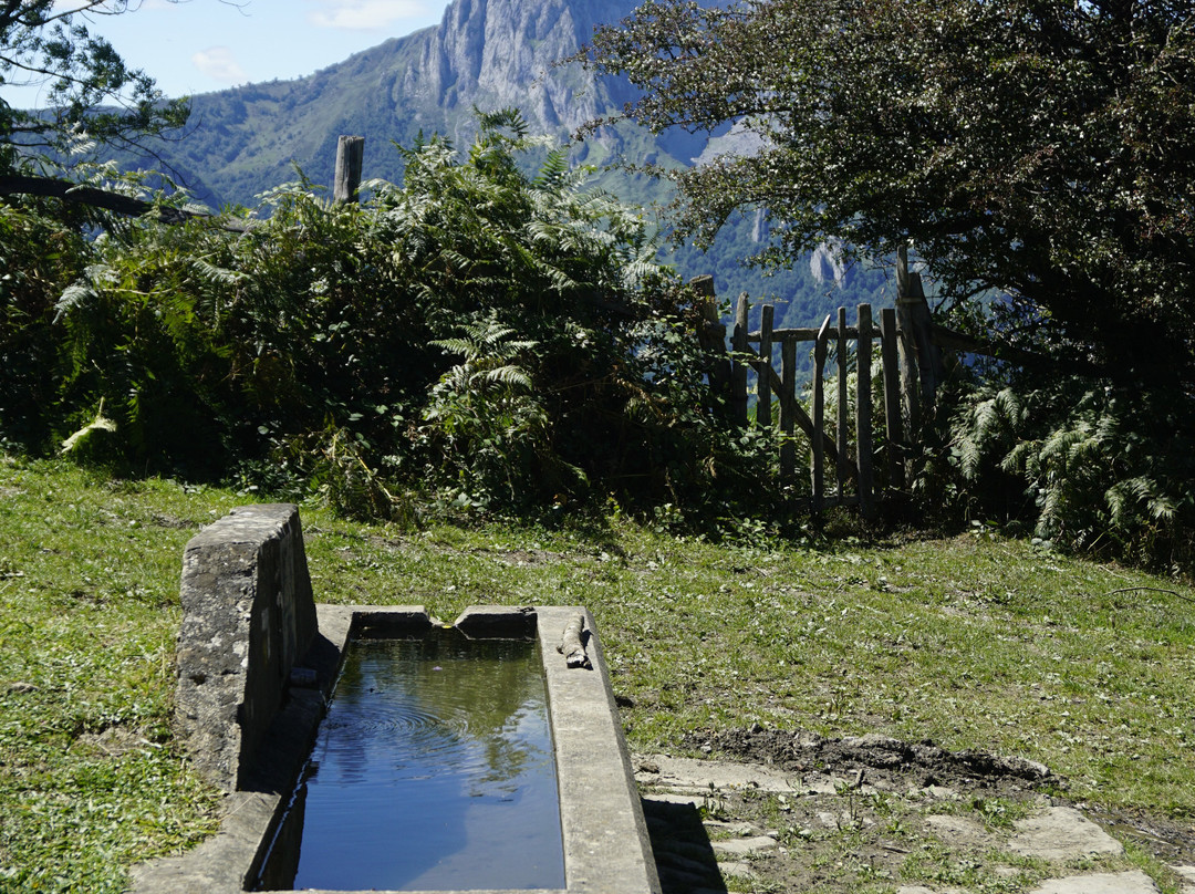 Parque Natural de Ponga景点图片