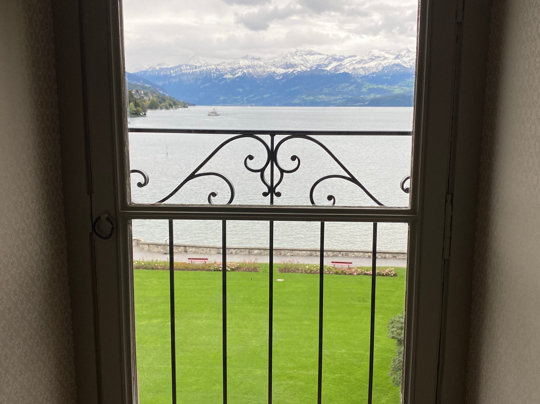 Schloss Schadau Swiss Historic Hotel主图
