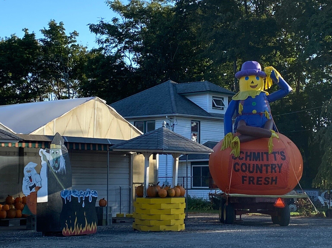 Schmitts Country Fresh景点图片