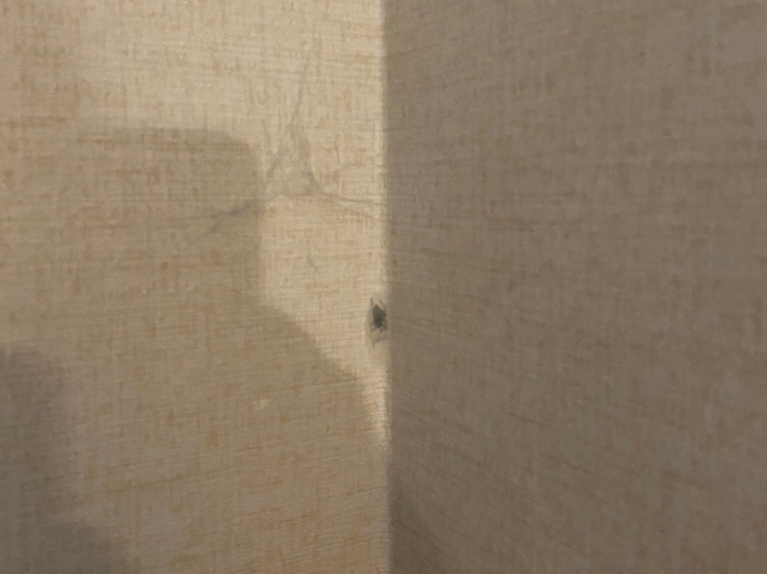 Fairfield by Marriott Inn & Suites Waterloo Cedar Falls主图