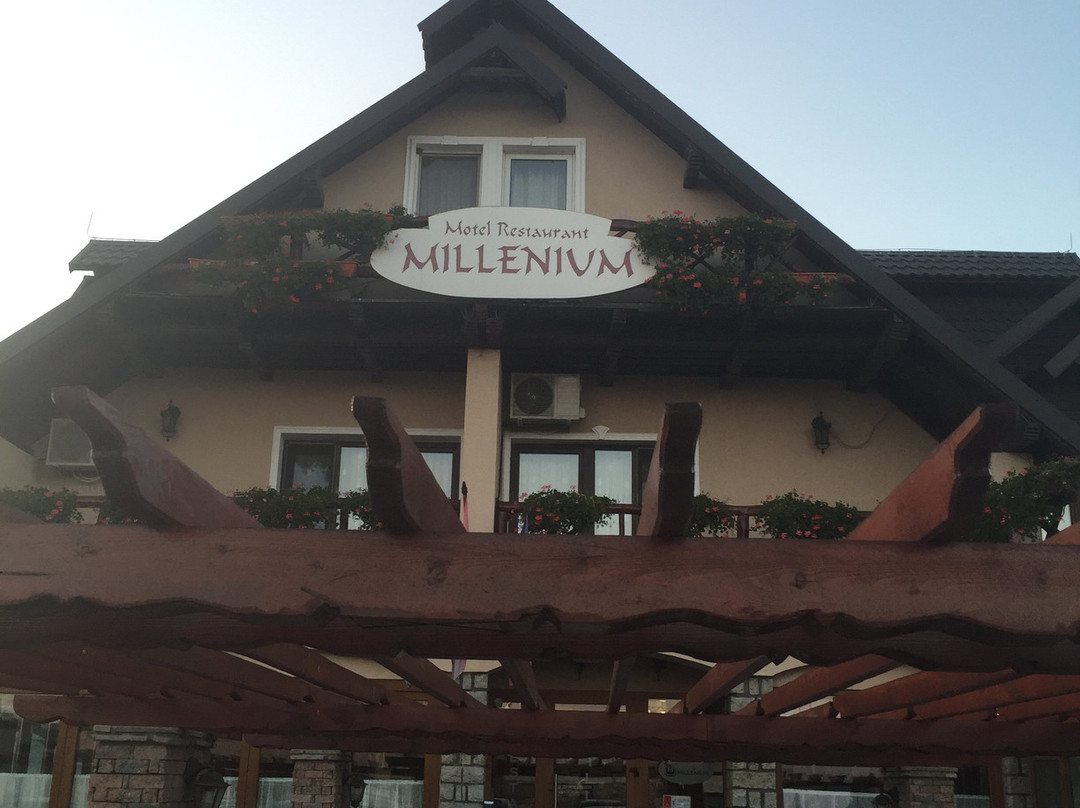 Hotel-restaurant Millenium主图
