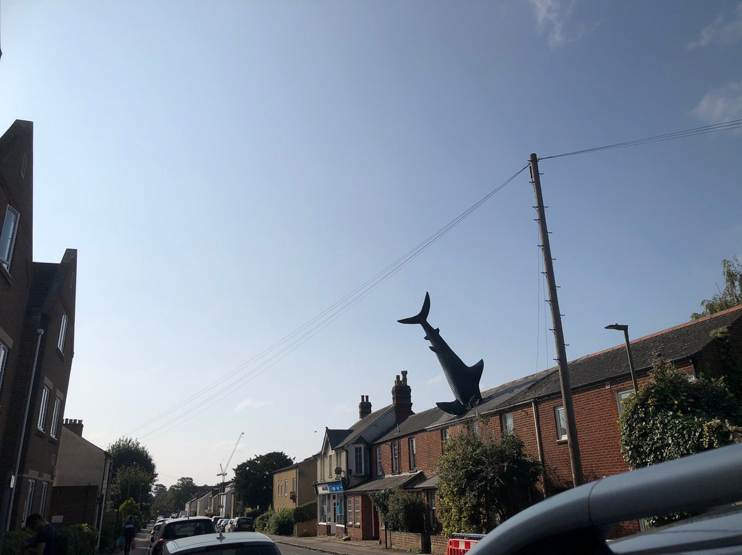 Headington Shark景点图片
