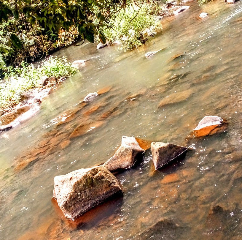 Winfield Park-马兰达必去景点