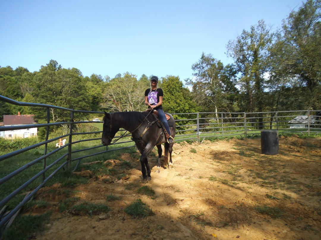 Roan Mountain Riding Company-Roan Mountain必去景点