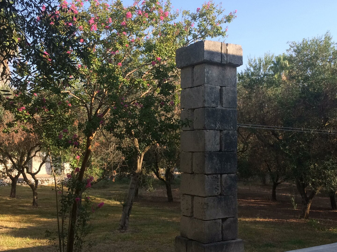 B&B Lu Palummaru主图