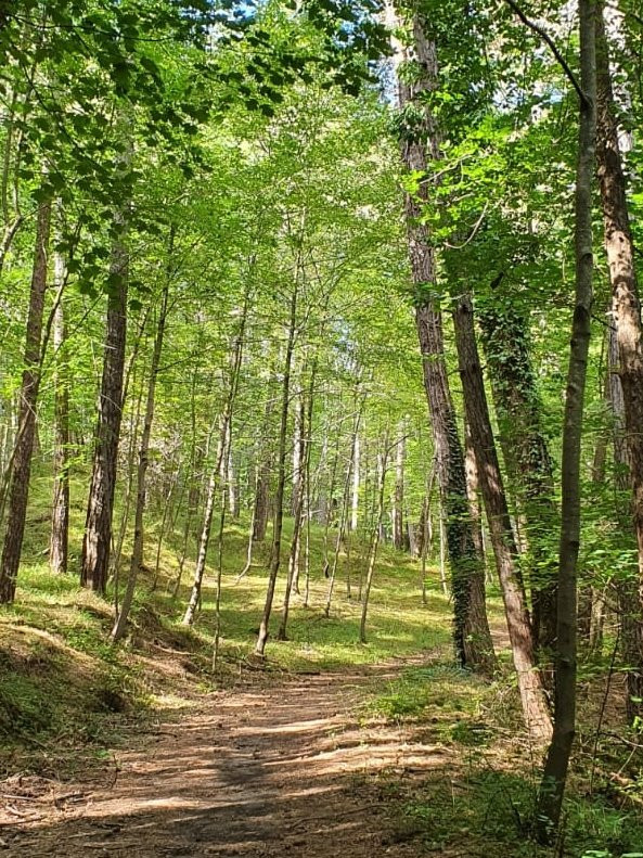 Pietralunga旅游攻略图片