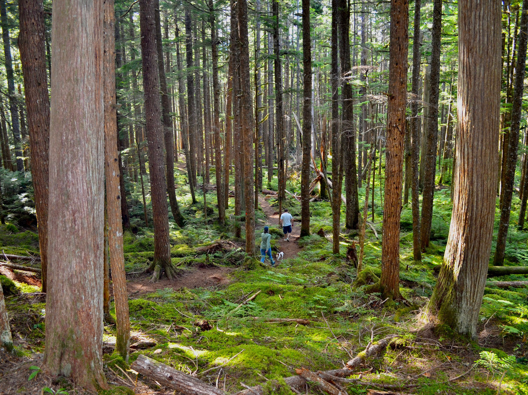 Hai Lake Mount Herman Provincial Park-Terrace必去景点