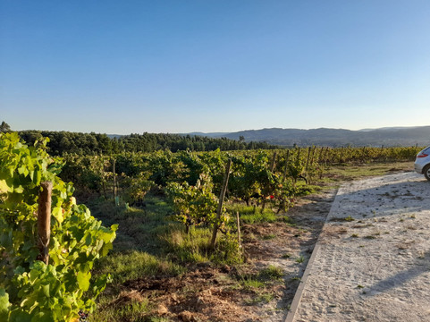 Boas Quintas-Mortagua必去景点