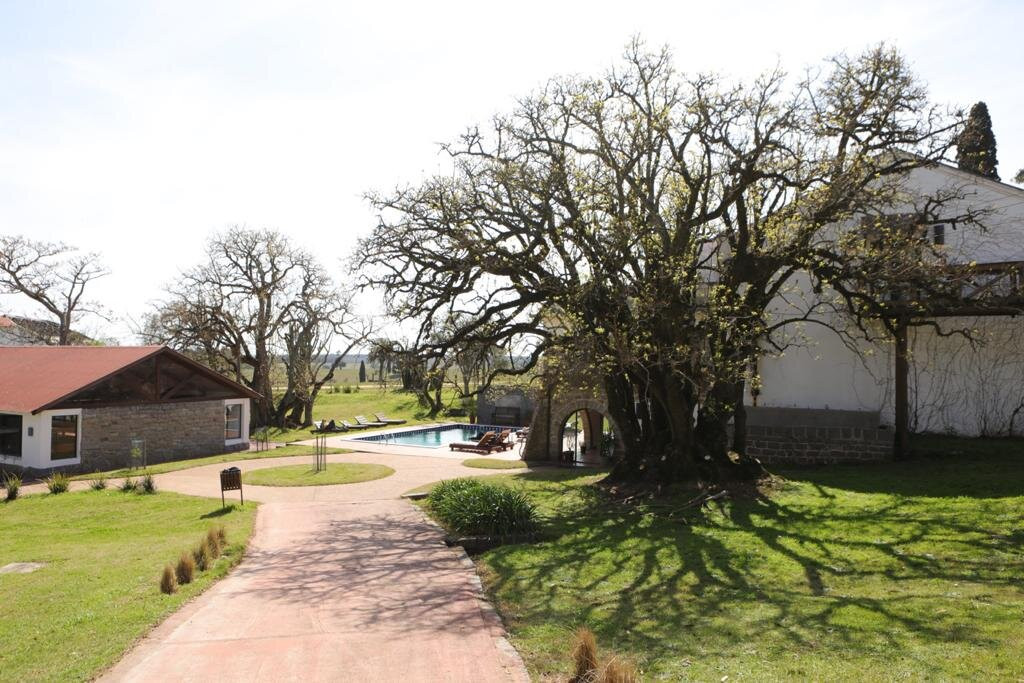 San Pedro de Timote主图