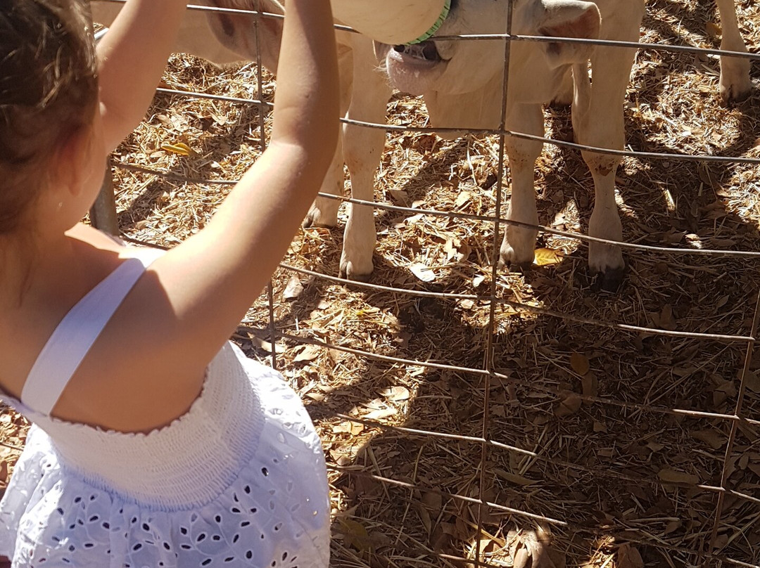 Katherine Outback Experience-凯瑟琳必去景点