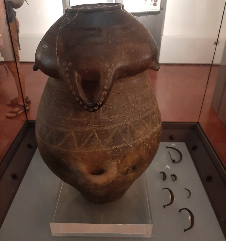 Museo Archeologico Di Cecina景点图片