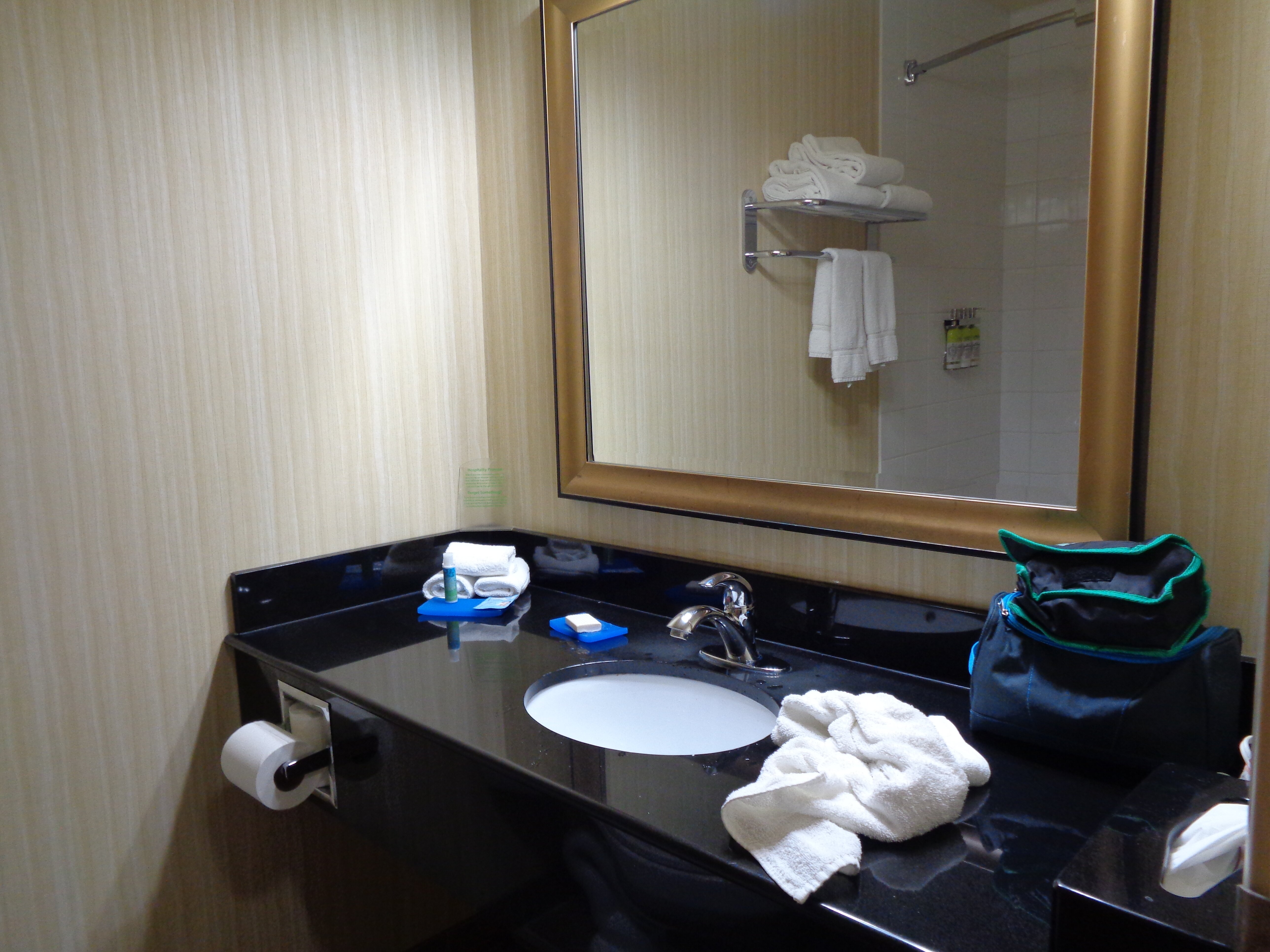 Holiday Inn Express & Suites Swift Current By IHG-浴室