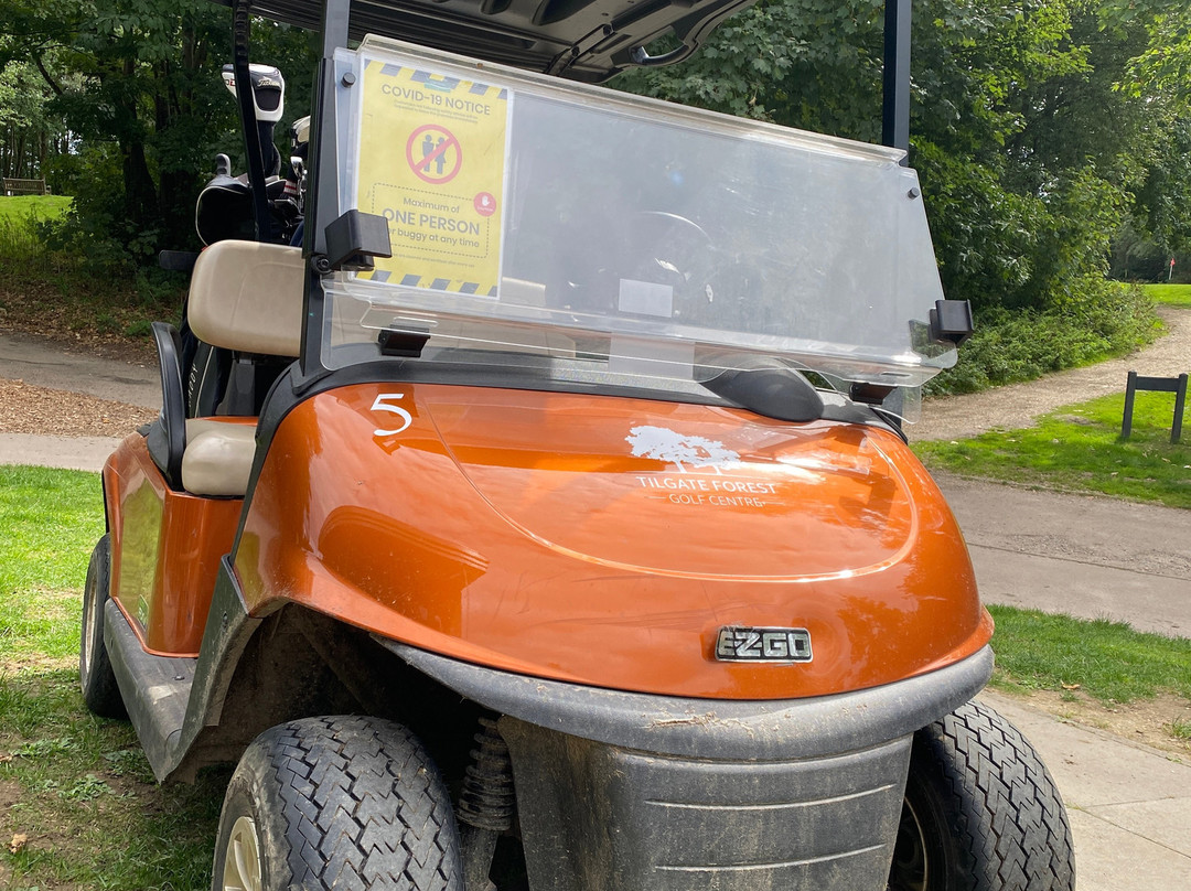Tilgate Forest Golf Centre景点图片