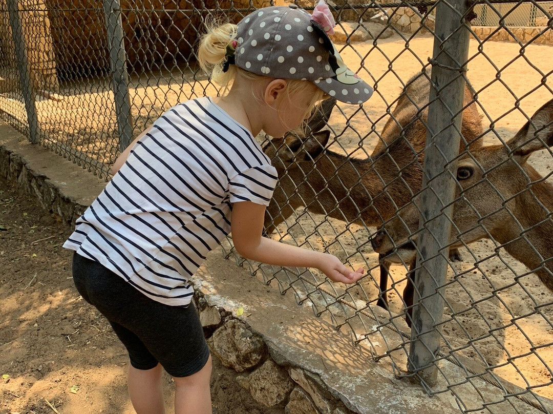 Hai-Kef-Rishon Lezion必去景点