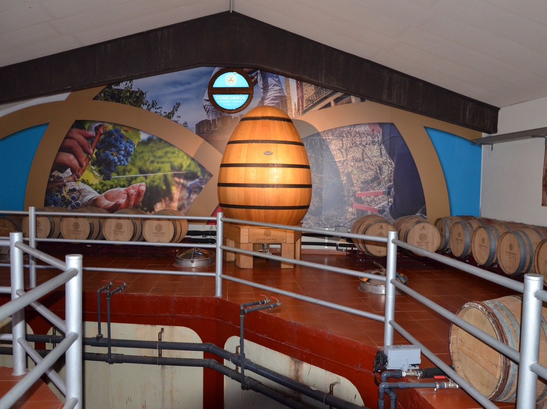 Bodega Cosecheros de Olite-Olite必去景点