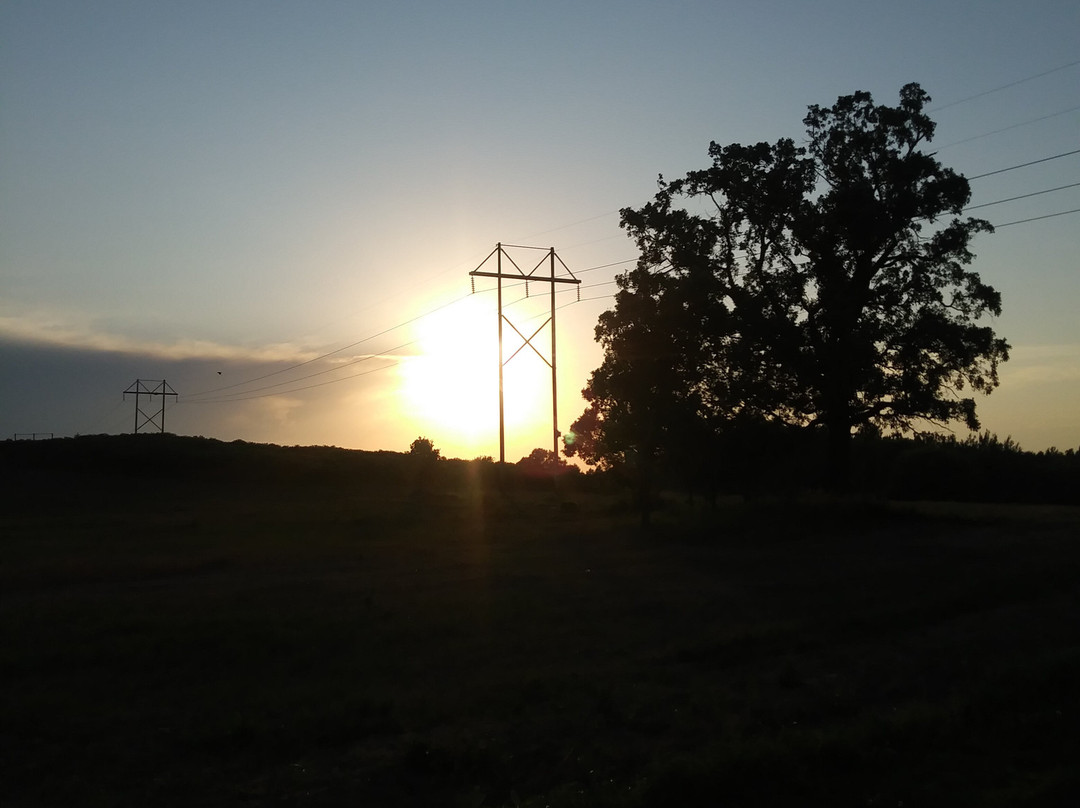 Elm Creek Singletrack Trail景点图片