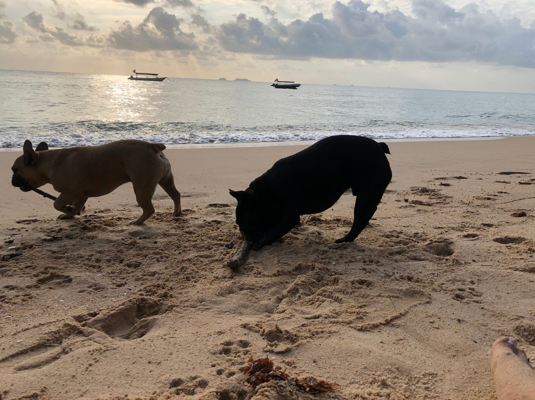 Sea Gypsy Village Resort & Dive Base主图