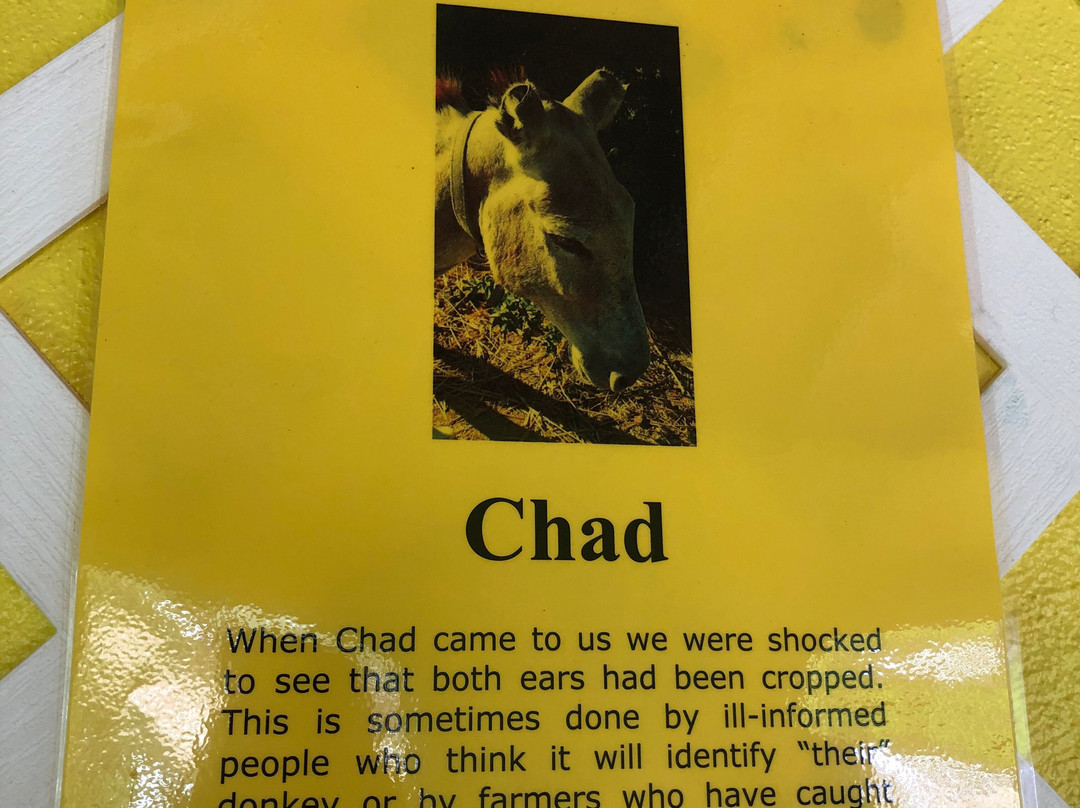 Antigua & Barbuda Humane Society-Saint Paul Parish必去景点