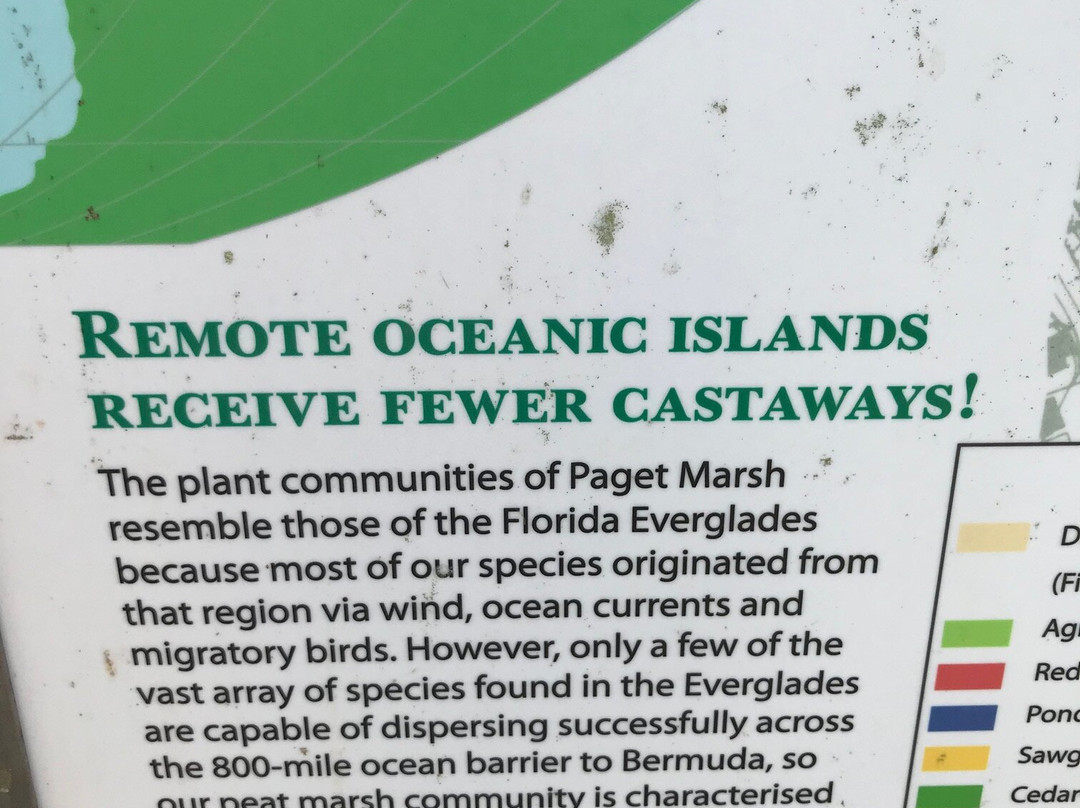 Paget Marsh-佩吉特教区必去景点