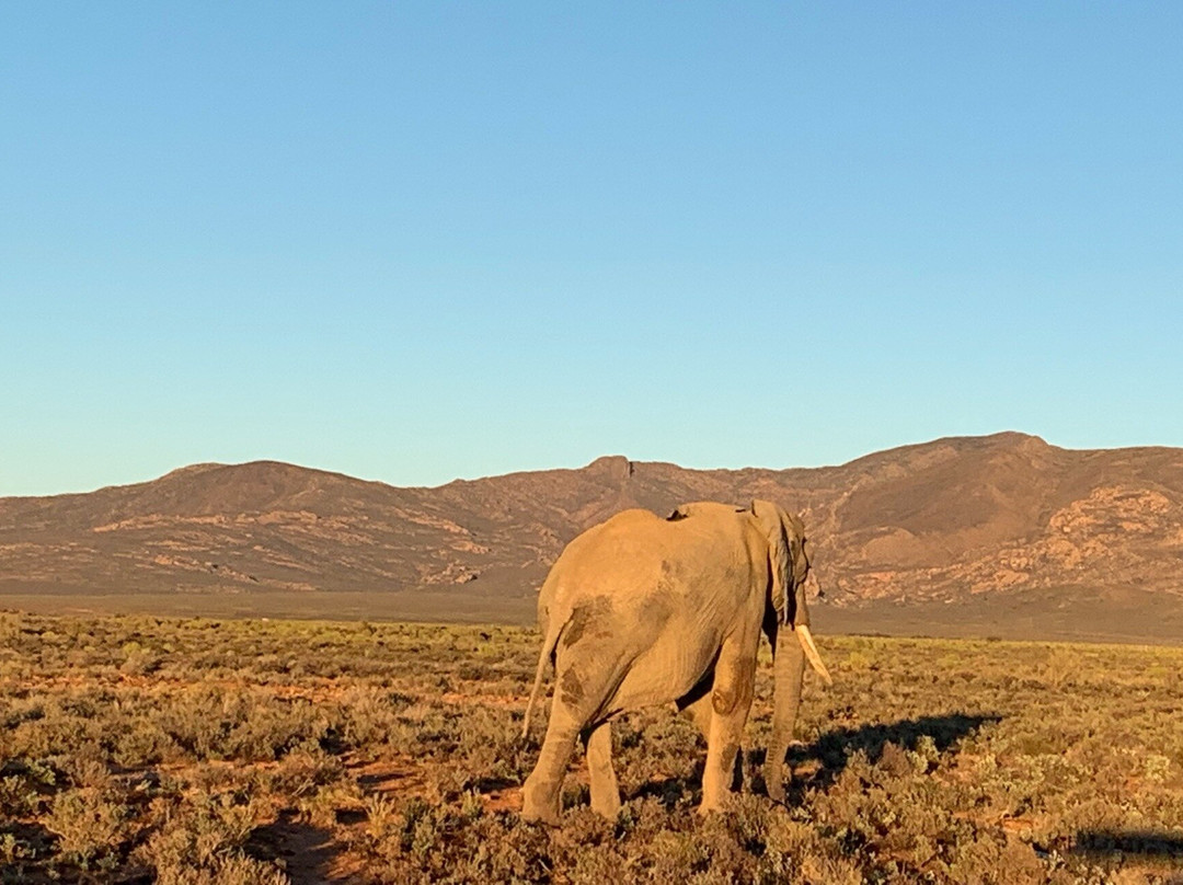 Abington Tours-开普敦中心区必去景点