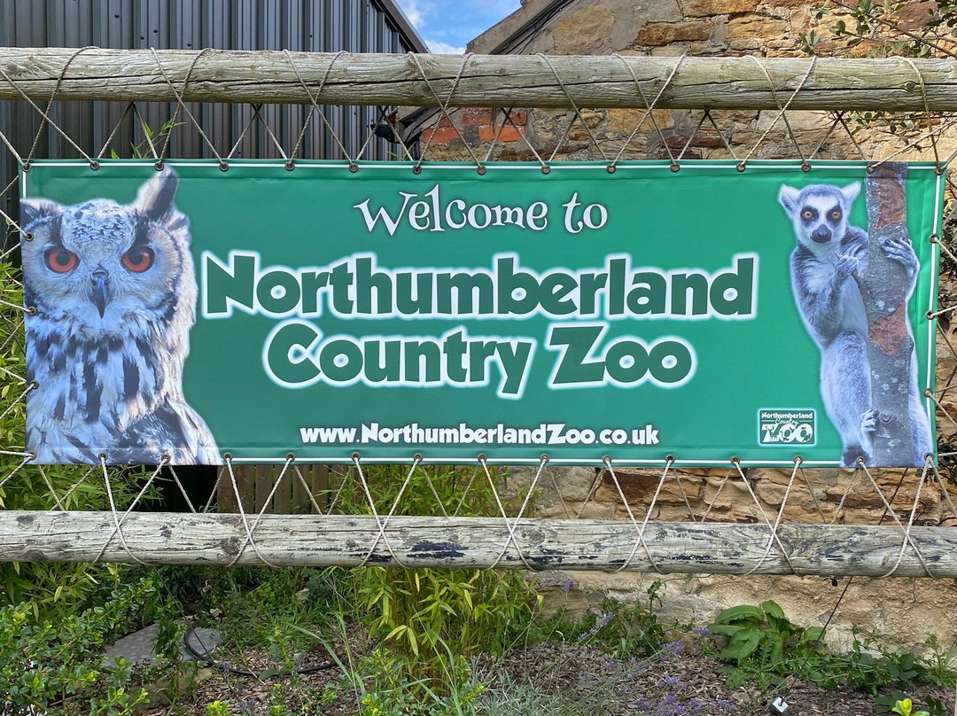 Northumberland Zoo景点图片