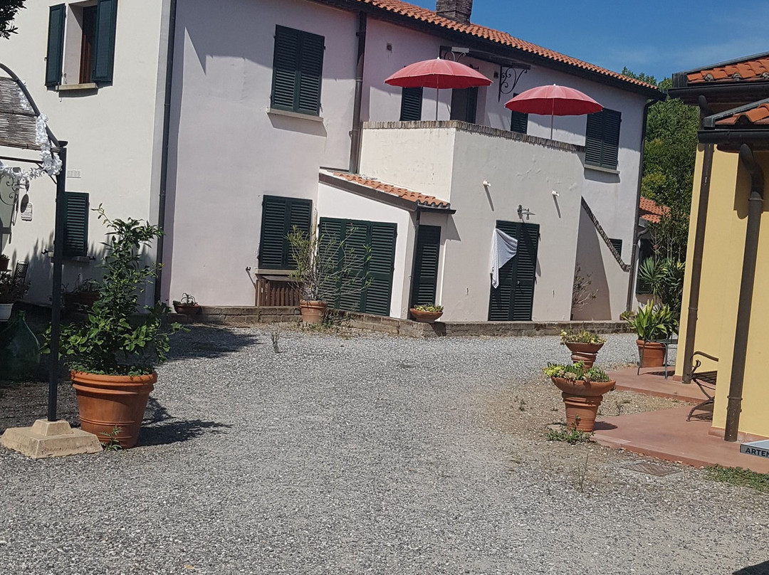 Fattoria La Steccaia主图