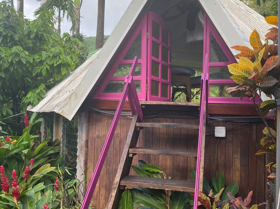 Le Spa du Parc aux Orchidées-Pointe-Noire必去景点