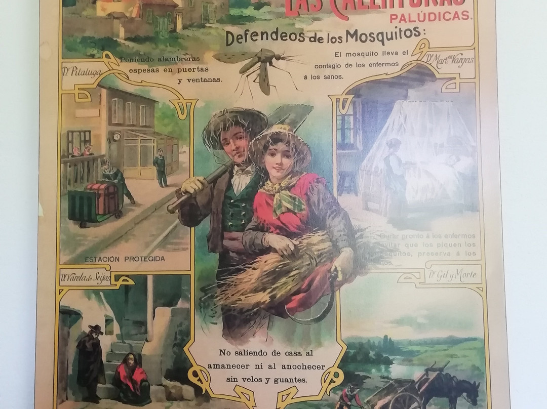 Centro de Interpretación del Paludismo景点图片
