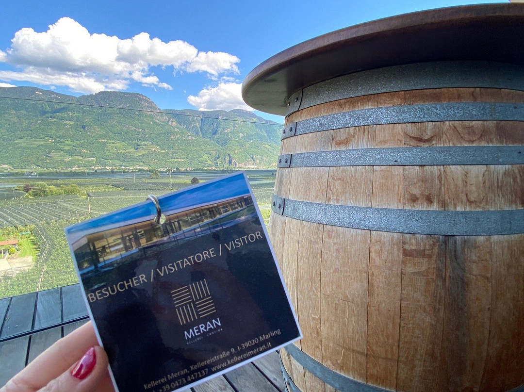Cantina Merano Burggräfler景点图片