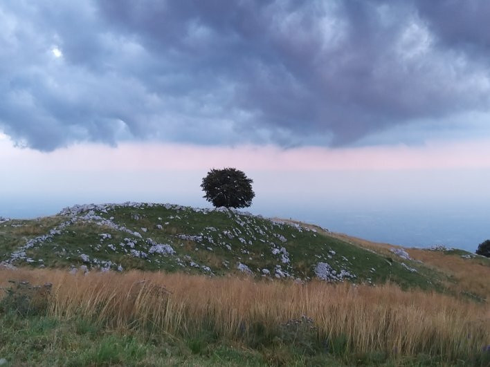 Monte Pizzoc景点图片