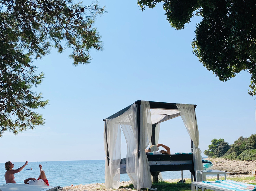 Meneghetti Wine Hotel & Winery主图